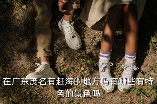 在廣東茂名有趕海的地方嗎有哪些有特色的景色嗎