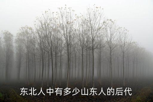 山東籍小將有多少,小將扛起全運會大旗有深意