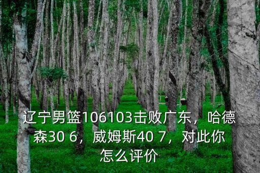 遼寧男籃106103擊敗廣東，哈德森30 6，威姆斯40 7，對此你怎么評價