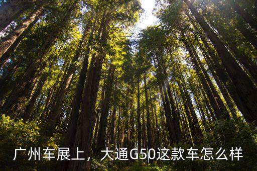廣州車展上，大通G50這款車怎么樣