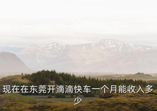 現在在東莞開滴滴快車一個月能收入多少