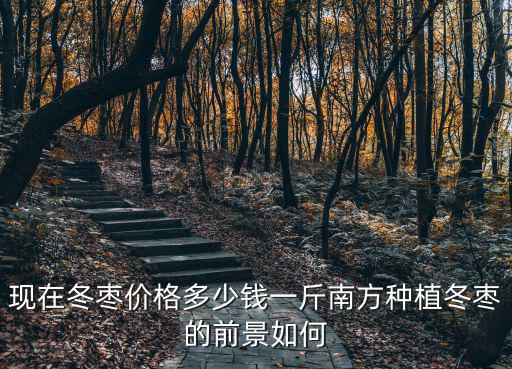 杭州冬棗價格是多少錢一斤,南方種植冬棗的前景如何