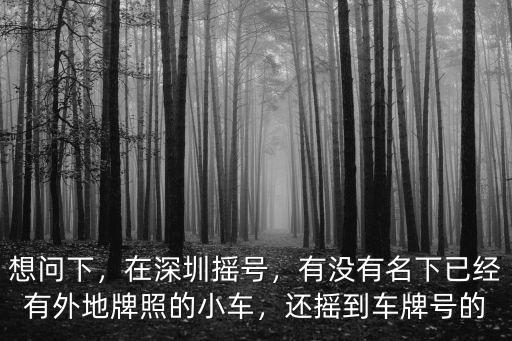 深圳小汽車牌照搖號有多少人,我有一個深圳車牌指標