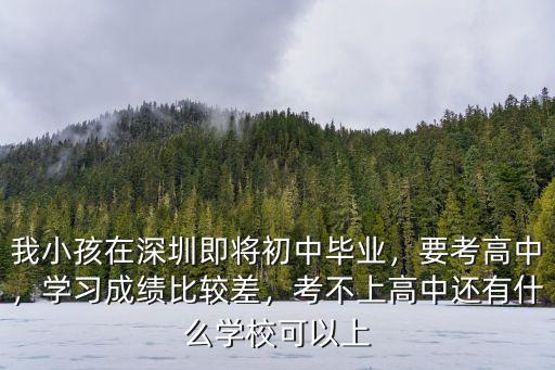 我小孩在深圳即將初中畢業，要考高中，學習成績比較差，考不上高中還有什么學校可以上
