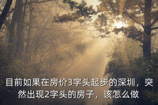 深圳的老破舊房子怎么辦,農村不住的舊房子怎么處理