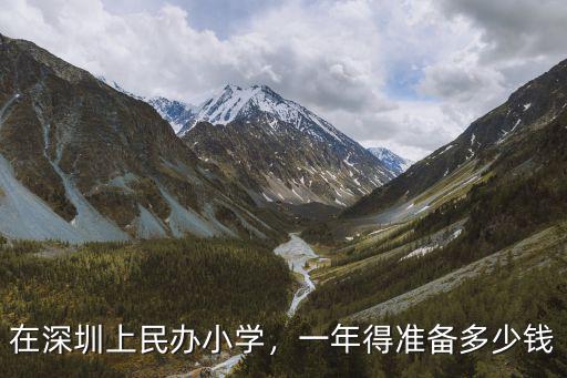 怎么花錢上深圳小學,在深圳上民辦小學