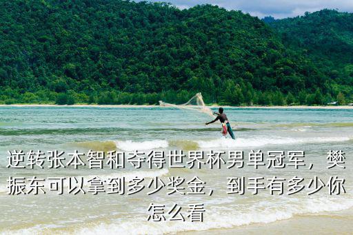 廣州奧運冠軍樊振東獎金多少,樊振東可以拿到多少獎金