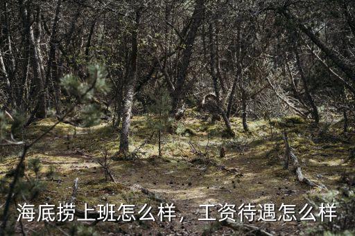 海底撈上班怎么樣，工資待遇怎么樣