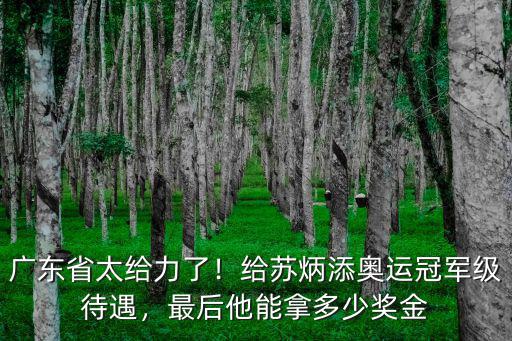 廣東省太給力了！給蘇炳添奧運(yùn)冠軍級(jí)待遇，最后他能拿多少獎(jiǎng)金
