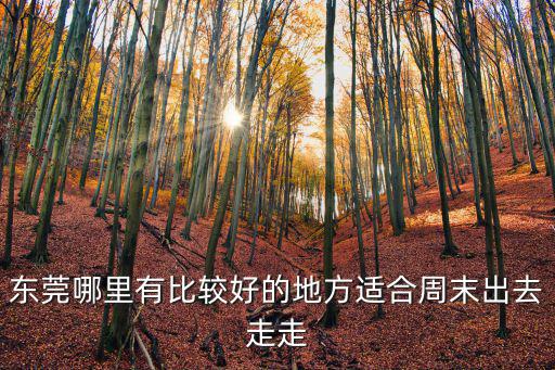 東莞哪里有比較好的地方適合周末出去走走