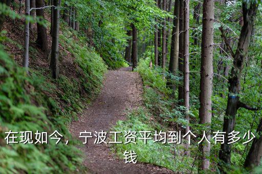 寧波市平均月工資為多少,寧波工資平均到個人有多少錢