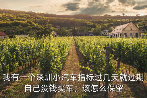 我有一個深圳小汽車指標過幾天就過期自己沒錢買車，該怎么保留