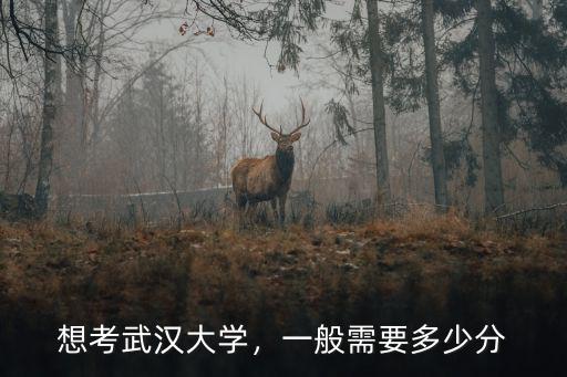 想考武漢大學，一般需要多少分