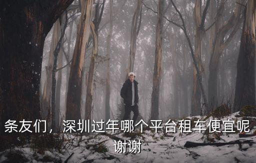 深圳過年租車suv多少錢,今年想從深圳租車回老家過年