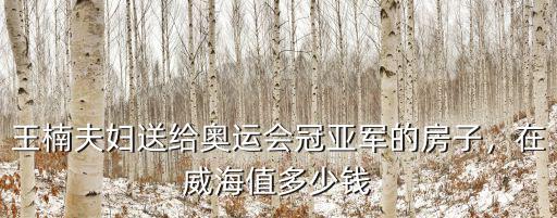 威海南海醫(yī)院 電話是多少錢一個(gè)月,威海南海新區(qū)的房子可買嗎
