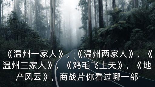 溫州的一家人多少集視劇,《溫州一家人》這部電視劇