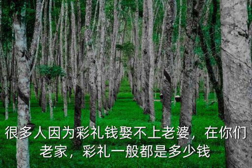 濰坊定親彩禮錢多少,濟(jì)南姑娘定親彩禮錢是多少