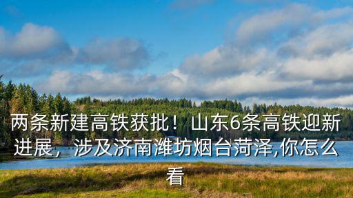 兩條新建高鐵獲批！山東6條高鐵迎新進展，涉及濟南濰坊煙臺菏澤,你怎么看