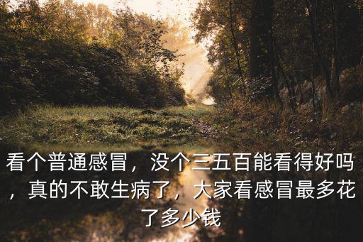 看個普通感冒，沒個三五百能看得好嗎，真的不敢生病了，大家看感冒最多花了多少錢