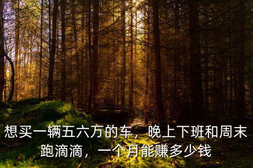 湖州開滴滴晚上能賺多少錢,新手跑滴滴一天能掙多少錢