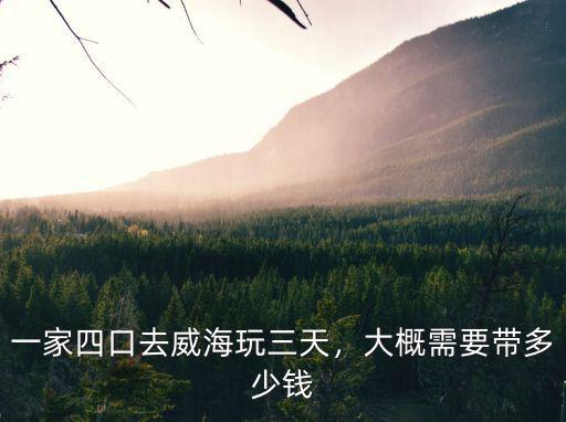 威海帶司機(jī)租車一天大概多少錢,大概需要帶多少錢