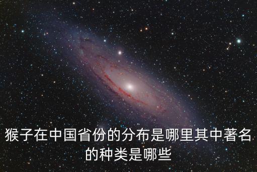 廣東哪里的猴子好吃,廣東有哪些好吃的客家菜