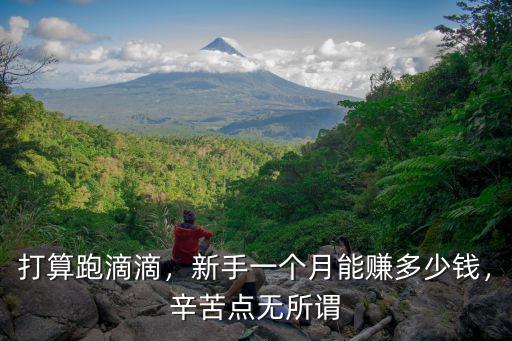 打算跑滴滴，新手一個月能賺多少錢，辛苦點無所謂