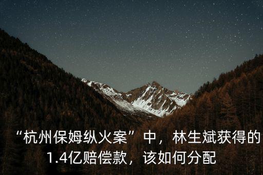 “杭州保姆縱火案”中，林生斌獲得的1.4億賠償款，該如何分配
