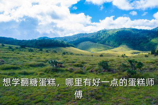 想學翻糖蛋糕，哪里有好一點的蛋糕師傅