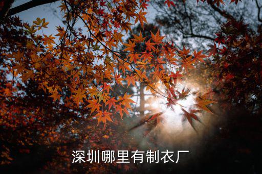 深圳松崗制衣廠在哪里有哪些好的,深圳待遇好的大型工廠有哪些