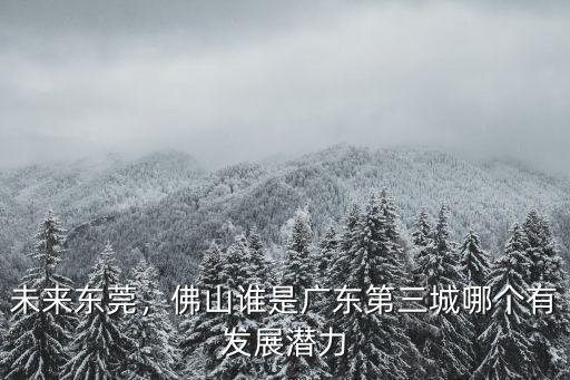 未來東莞，佛山誰是廣東第三城哪個有發展潛力