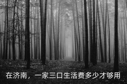 在濟南，一家三口生活費多少才夠用
