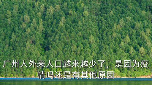 廣州外來人口比例多少,廣州哪里外來人比較多