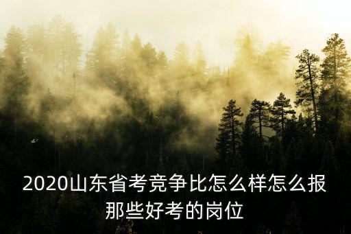 2020山東省考擴(kuò)編多少,山東省考報(bào)考資格