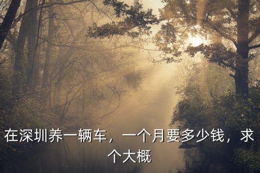 在深圳養(yǎng)一輛車，一個月要多少錢，求個大概