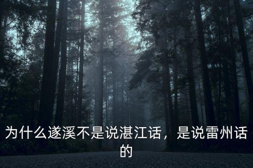 湛江說雷州話的地方有哪里,湛江有雷州話