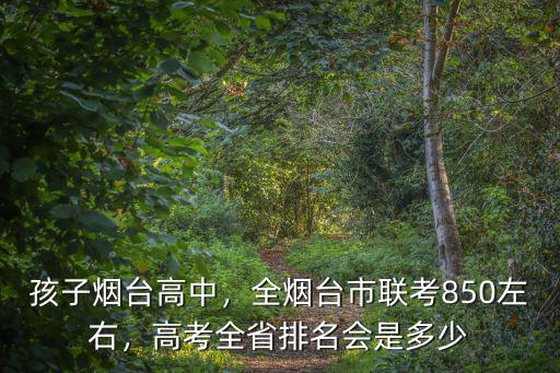 煙臺市高考文科985錄取多少,全煙臺市聯考850左右