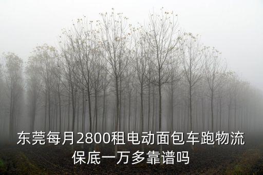東莞每月2800租電動面包車跑物流保底一萬多靠譜嗎