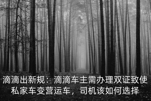 東莞雙證司機跑滴滴怎么樣,去東莞跑滴滴