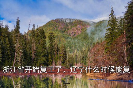 全國浙江省復工率多少,浙江省開始復工了