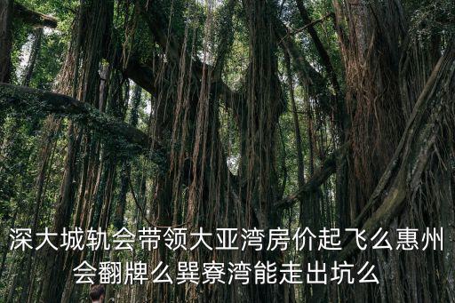 深大城軌會帶領大亞灣房價起飛么惠州會翻牌么巽寮灣能走出坑么