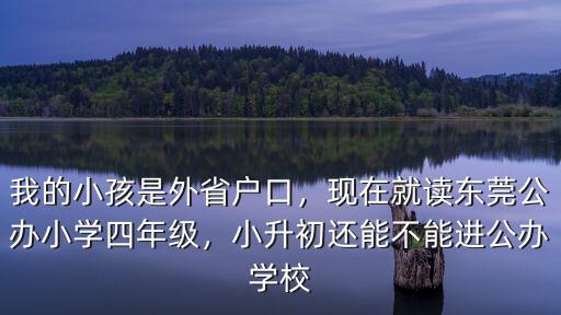 外地人怎么上東莞公辦小學,現在就讀東莞公辦小學四年級