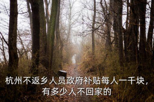 杭州不返鄉(xiāng)人員政府補(bǔ)貼每人一千塊，有多少人不回家的
