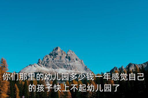 你們那里的幼兒園多少錢一年感覺自己的孩子快上不起幼兒園了