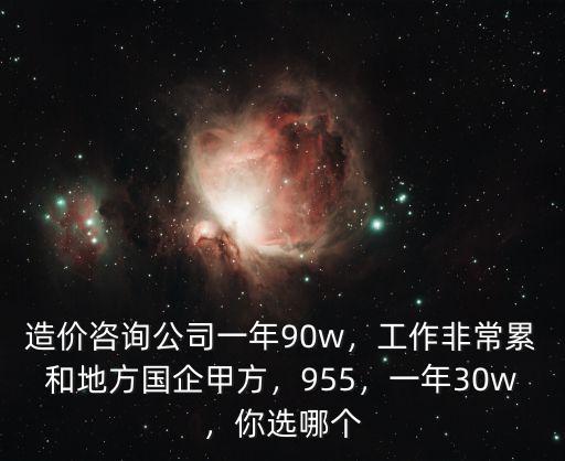 造價咨詢公司一年90w，工作非常累和地方國企甲方，955，一年30w，你選哪個