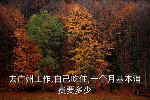 去廣州工作,自己吃住,一個月基本消費要多少