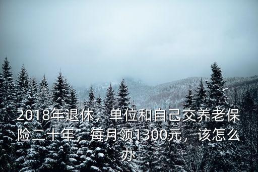 2018年退休，單位和自己交養老保險二十年，每月領1300元，該怎么辦