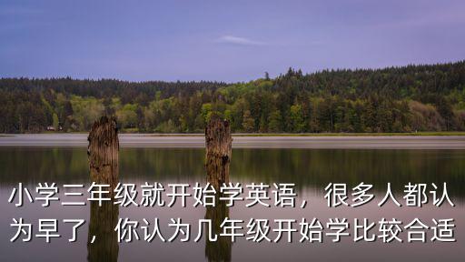 深圳小學生學英語一節課多少錢,深圳小學生英語機構怎么樣