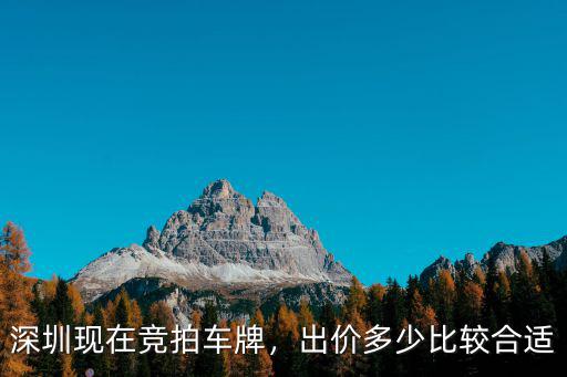 深圳現(xiàn)在競拍車牌，出價多少比較合適