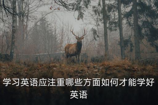 學習英語應注重哪些方面如何才能學好英語